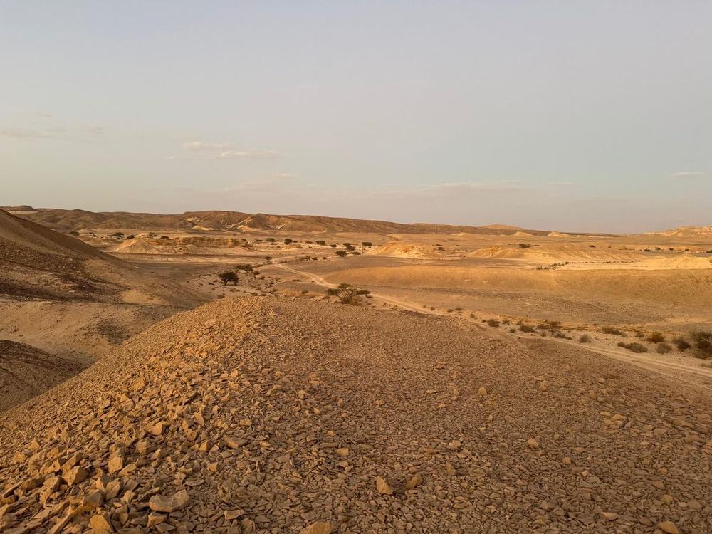 שביל עפר בין גבעות הערבה באור אחר הצהריים